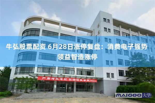 牛弘股票配资 6月28日涨停复盘:消费电子强势 领益智造涨停