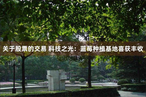 关于股票的交易 科技之光：蓝莓种植基地喜获丰收
