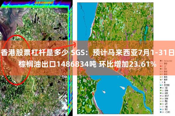 香港股票杠杆是多少 SGS：预计马来西亚7月1-31日棕榈油出口1486834吨 环比增加23.61%