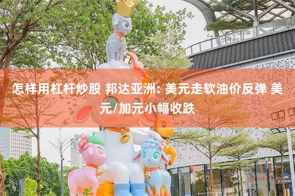 怎样用杠杆炒股 邦达亚洲: 美元走软油价反弹 美元/加元小幅收跌