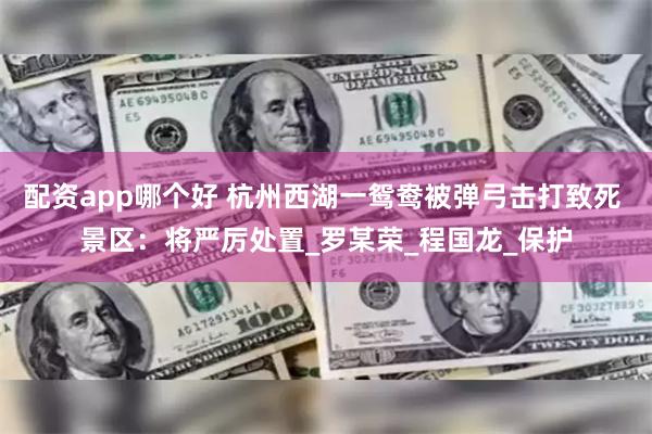 配资app哪个好 杭州西湖一鸳鸯被弹弓击打致死 景区：将严厉处置_罗某荣_程国龙_保护
