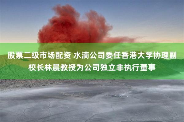 股票二级市场配资 水滴公司委任香港大学协理副校长林晨教授为公司独立非执行董事