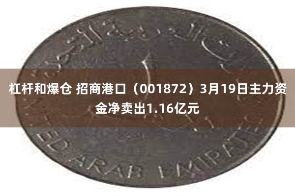 杠杆和爆仓 招商港口（001872）3月19日主力资金净卖出1.16亿元