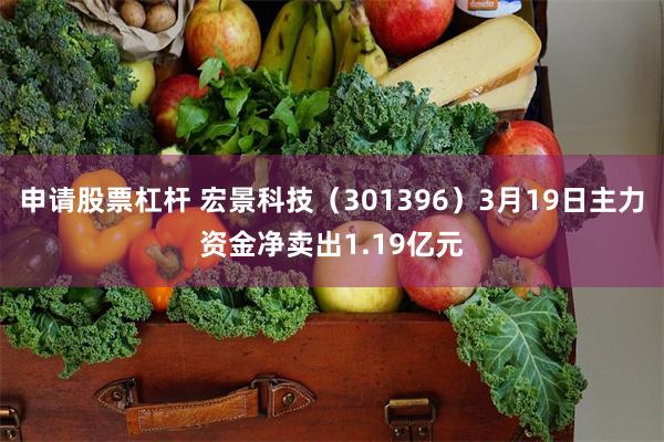 申请股票杠杆 宏景科技（301396）3月19日主力资金净卖出1.19亿元