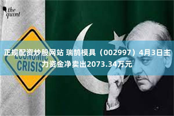 正规配资炒股网站 瑞鹄模具（002997）4月3日主力资金净卖出2073.34万元