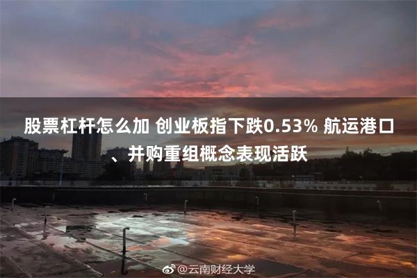 股票杠杆怎么加 创业板指下跌0.53% 航运港口、并购重组概念表现活跃