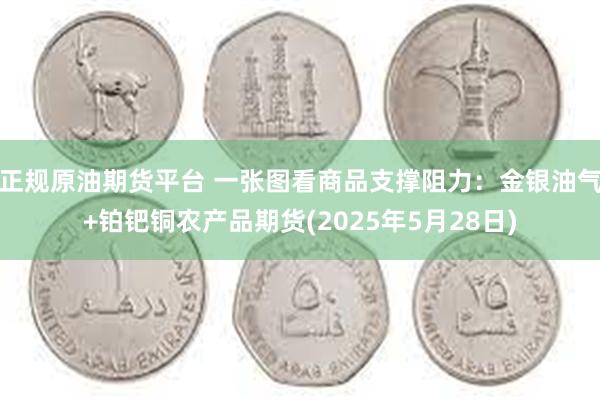 正规原油期货平台 一张图看商品支撑阻力：金银油气+铂钯铜农产品期货(2025年5月28日)