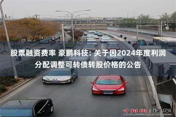 股票融资费率 豪鹏科技: 关于因2024年度利润分配调整可转债转股价格的公告
