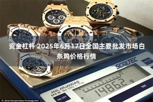 资金杠杆 2025年6月17日全国主要批发市场白条鸡价格行情