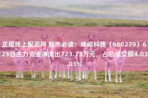 正规线上配资网 股市必读：峰岹科技（688279）6月23日主力资金净流出723.73万元，占总成交额4.03%
