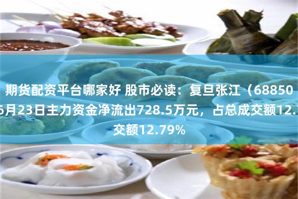 期货配资平台哪家好 股市必读：复旦张江（688505）6月23日主力资金净流出728.5万元，占总成交额12.79%