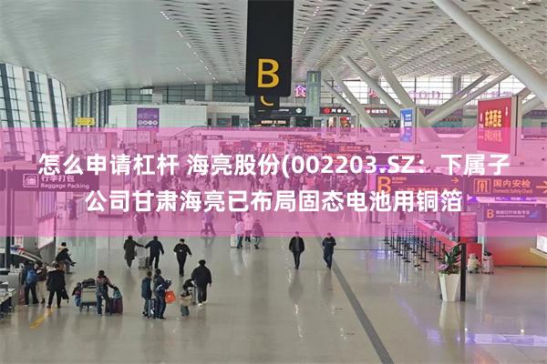 怎么申请杠杆 海亮股份(002203.SZ：下属子公司甘肃海亮已布局固态电池用铜箔
