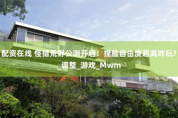 配资在线 怪猎荒野公测开启！捏脸自由度超高咋玩?_调整_游戏_Mwm