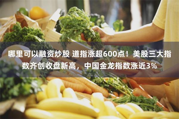 哪里可以融资炒股 道指涨超600点！美股三大指数齐创收盘新高，中国金龙指数涨近3%